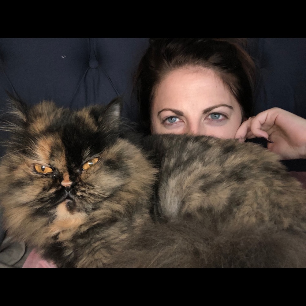 Meet your Posher, Kara